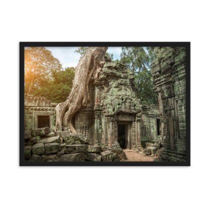 Nature’s Embrace: The Resilience of Ta Prohm