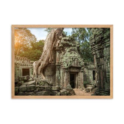 Nature’s Embrace: The Resilience of Ta Prohm - Image 2